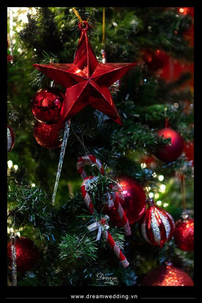 Christmas at Palazzo - 3.jpg